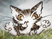 达洋猫
