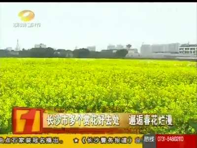 油菜花开 长沙赏花地图