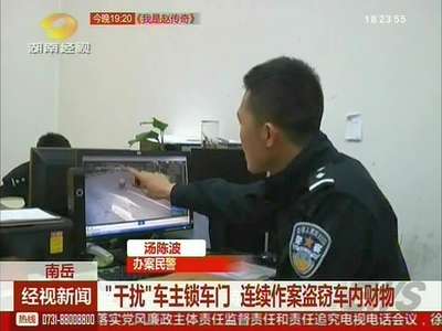 “干扰”车主锁车门 连续作案盗窃车内财物