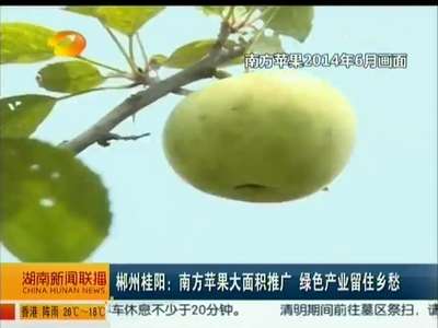 郴州桂阳：南方苹果大面积推广 绿色产业留住乡愁
