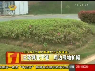 长沙城北入城口新增12万平米绿地