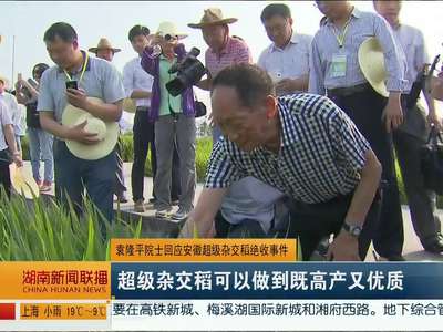 袁隆平院士回应安徽超级杂交稻绝收事件 超级杂交稻可以做到既高产又优质