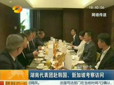 湖南代表团赴韩国、新加坡考察访问