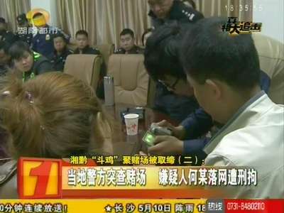 湘黔“斗鸡”聚赌场被取缔：借民俗活动开赌局 已涉嫌违法