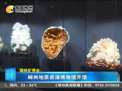 国际矿博会：郴州地质资源博物馆开馆