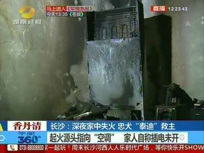 深夜起火家人熟睡 宠物“泰迪”叫醒主人