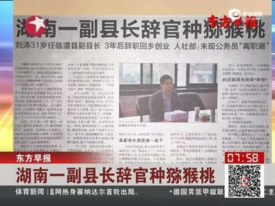 [视频]副县长辞官回乡种猕猴桃：想做自己想做的事