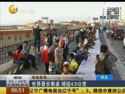 [视频]埃及现4.5公里世界最长餐桌 可容1万名食客