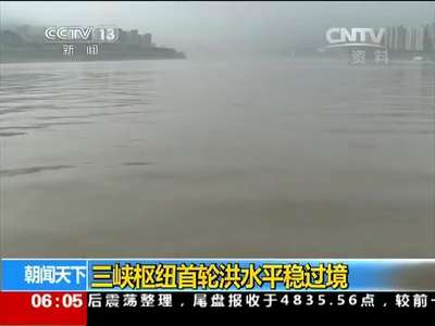 [视频]三峡枢纽首轮洪水平稳过境