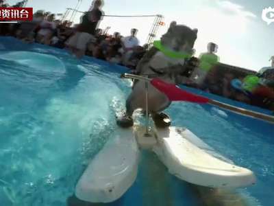 [视频]小松鼠现身世界极限运动大赛 滑水神技抢尽风头