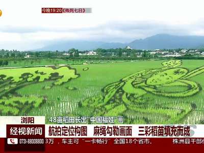 浏阳：48亩稻田长出“中国福娃”画