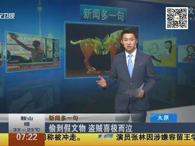 [视频]偷到假文物 盗贼喜极而泣