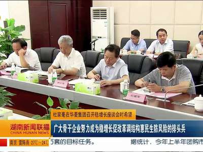 杜家毫参加华凌集团稳增长座谈会