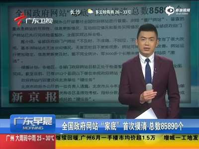 [视频]全国政府网站“家底”首次摸清 总数85890个