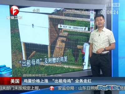 [视频]美国：鸡蛋价格上涨 “出租母鸡”业务走红