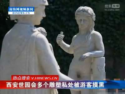 [视频]西安世园会多个雕塑私处被游客摸黑 色彩反差大