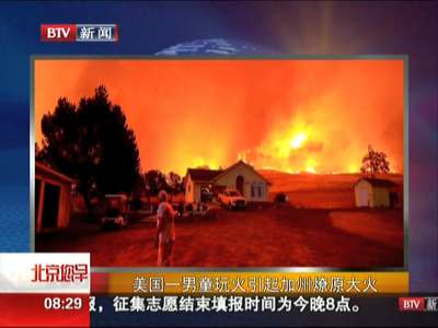 [视频]美国一男童玩火引起加州燎原大火