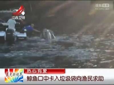 [视频]鲸鱼口中卡入垃圾袋向渔民求助