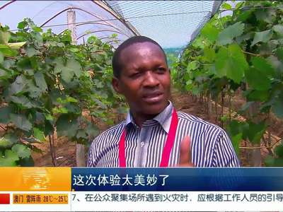 南太平洋、非洲部分国家新闻官员和记者参观宁乡关山村