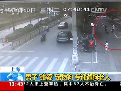 [视频]上海：男子“碰瓷”宠物狗 专讹遛狗老人