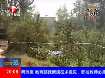 [视频]女生被盒装抛尸柿子树下 目击者称手段残忍