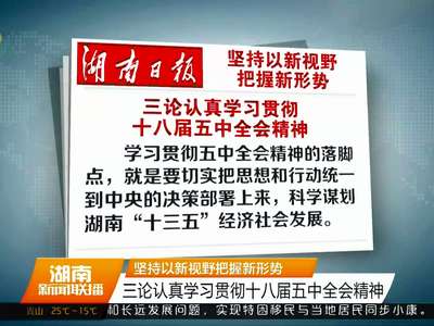 坚持以新视野把握新形势 三论认真学习贯彻十八届五中全会精神