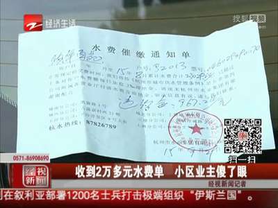 [视频]收到2万多元水费单 小区业主傻了眼