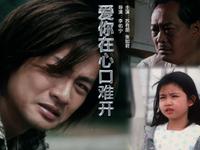 爱你在心口难开 (2004)