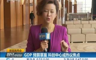 慰笛跑两会:gdp预算草案 科创中心成热议焦点