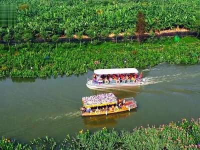 东莞在线_东莞在线招聘_东莞女孩子多的工厂