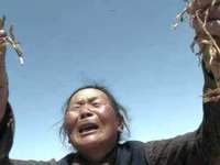 2014年世界环境日中国主题宣传片：向污染宣战（梦想篇）