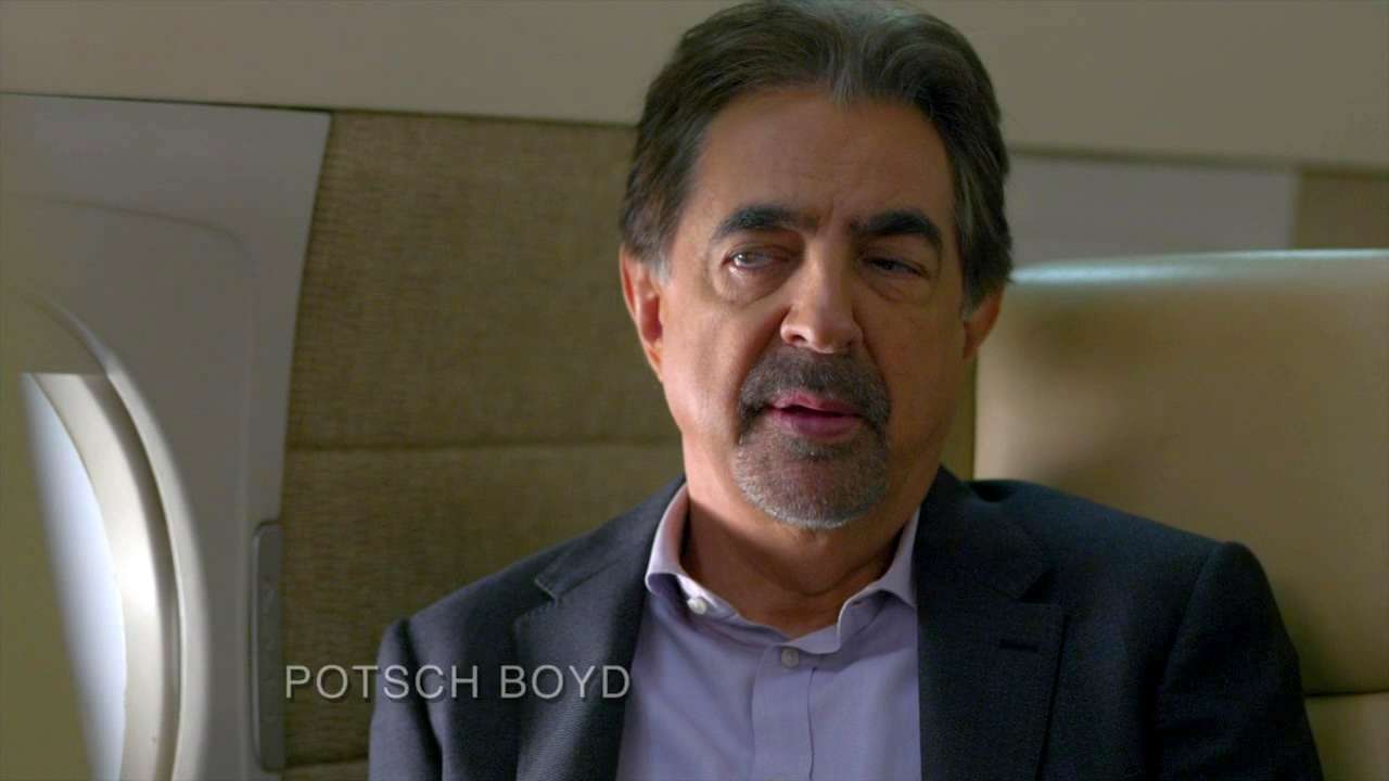 犯罪心理第13季_视频在线观看-爱奇艺搜索