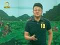 《旅游新时空》20130428：再游普者黑