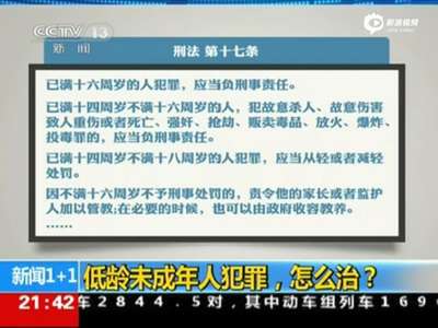 [视频]未成年人犯罪呈低龄化特点 有人曾称犯罪要趁早