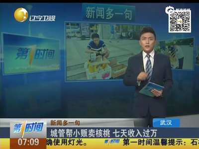 [视频]女城管帮小伙卖千公斤核桃获 网民赞“有人情味”