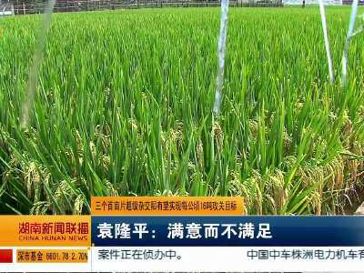 三个百亩片超级杂交稻有望实现每公顷16吨攻关目标 袁隆平：满意而不满足
