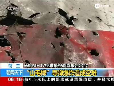 [视频]MH17空难：导弹在驾驶舱外爆炸 飞行员瞬间死亡