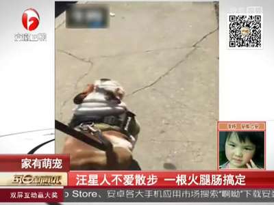 [视频]汪星人不爱散步 一根火腿肠搞定