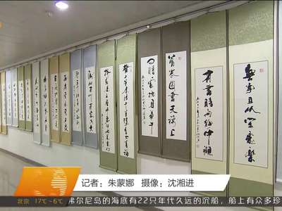 农民画家来长沙开个展