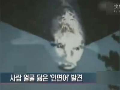 [视频]韩国老人饲养“人面鱼” 面部越长越像人