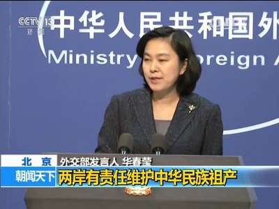 [视频]中国外交部回应马英九登太平岛：两岸有责任维护中华民族祖产