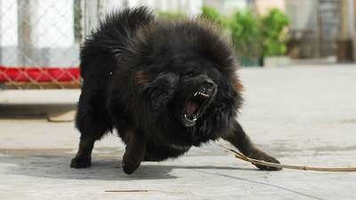 韩国女主播瑟妃