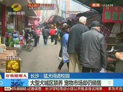 长沙：猛犬闯进校园 春季狗类伤人高发 养狗市民注意看管