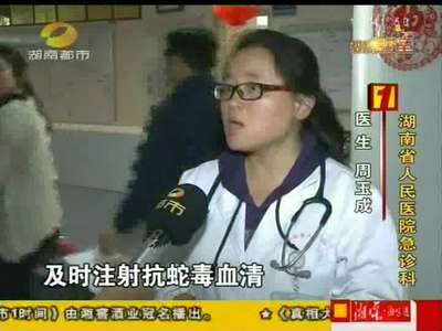 春季蛇出没毒性最强 医生提醒谨防蛇咬伤