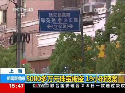 [视频]上海：5000多万元珠宝被盗 19小时破案