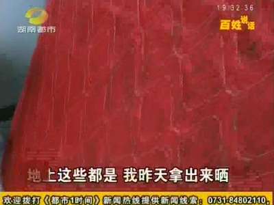 新买床垫“长虫子” 消费者维权