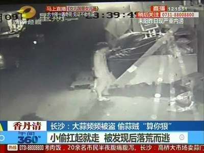 长沙：大蒜频频被盗 偷蒜贼“算你狠”