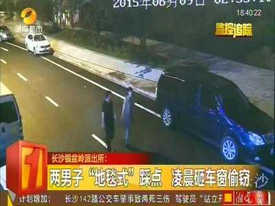两男子“地毯式”踩点 凌晨砸车窗偷窃