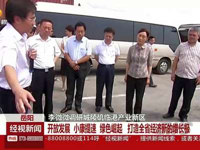 李微微调研城陵矶临港产业新区