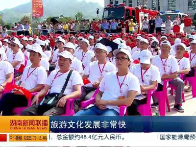 2015年中国（湖南）红色旅游文化节在桂东县开幕